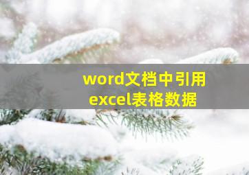 word文档中引用excel表格数据