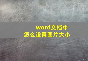 word文档中怎么设置图片大小