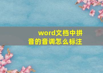 word文档中拼音的音调怎么标注