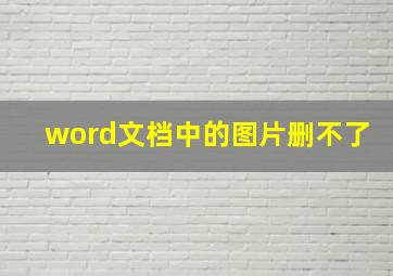 word文档中的图片删不了