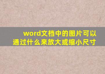 word文档中的图片可以通过什么来放大或缩小尺寸