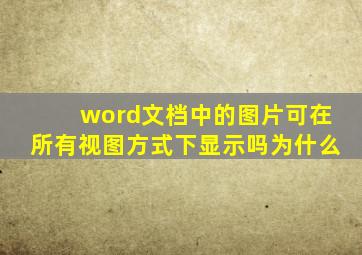 word文档中的图片可在所有视图方式下显示吗为什么