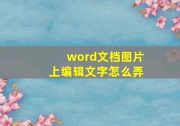 word文档图片上编辑文字怎么弄