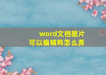 word文档图片可以编辑吗怎么弄