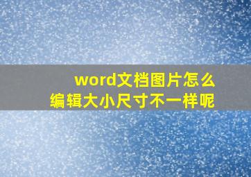 word文档图片怎么编辑大小尺寸不一样呢