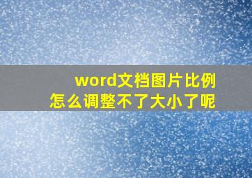 word文档图片比例怎么调整不了大小了呢