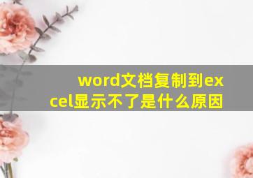 word文档复制到excel显示不了是什么原因