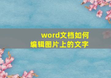 word文档如何编辑图片上的文字