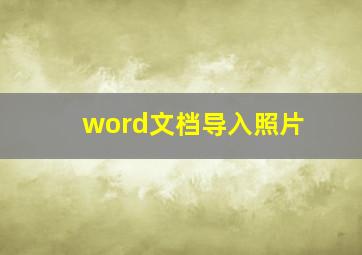 word文档导入照片