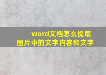 word文档怎么提取图片中的文字内容和文字