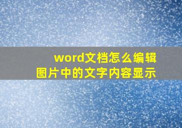 word文档怎么编辑图片中的文字内容显示