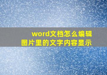 word文档怎么编辑图片里的文字内容显示