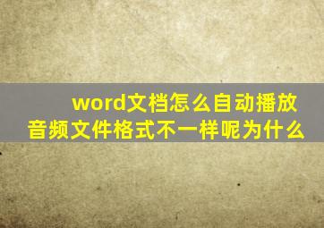 word文档怎么自动播放音频文件格式不一样呢为什么