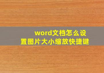 word文档怎么设置图片大小缩放快捷键