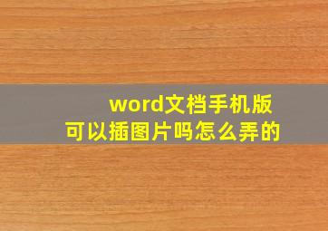 word文档手机版可以插图片吗怎么弄的