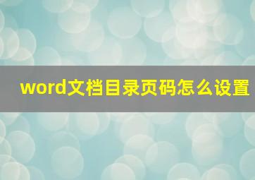 word文档目录页码怎么设置