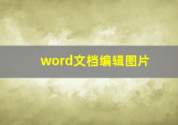 word文档编辑图片