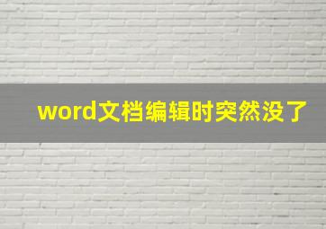 word文档编辑时突然没了