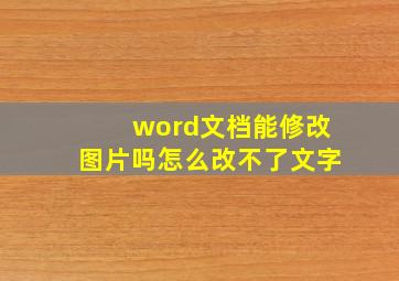 word文档能修改图片吗怎么改不了文字