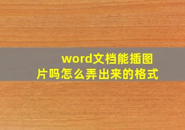 word文档能插图片吗怎么弄出来的格式