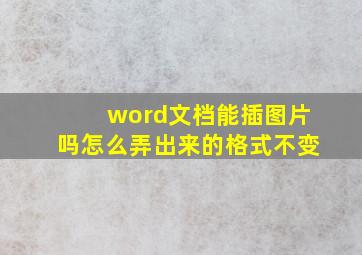 word文档能插图片吗怎么弄出来的格式不变