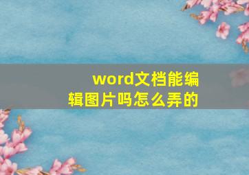 word文档能编辑图片吗怎么弄的