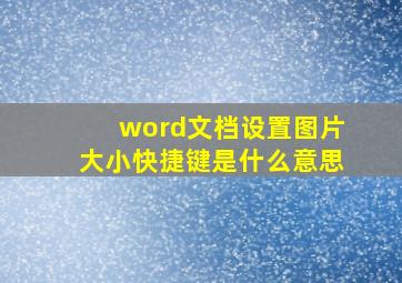 word文档设置图片大小快捷键是什么意思