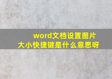 word文档设置图片大小快捷键是什么意思呀