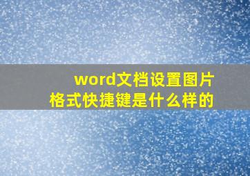 word文档设置图片格式快捷键是什么样的