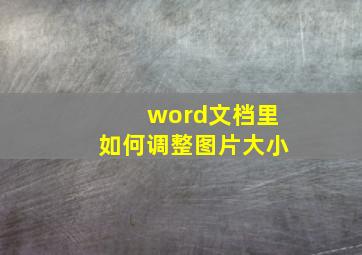 word文档里如何调整图片大小