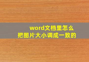 word文档里怎么把图片大小调成一致的