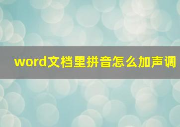 word文档里拼音怎么加声调