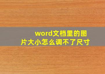 word文档里的图片大小怎么调不了尺寸