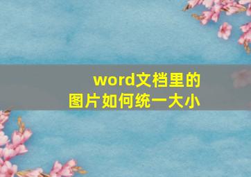 word文档里的图片如何统一大小