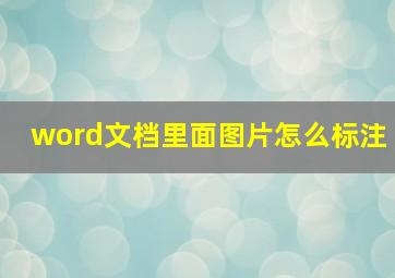 word文档里面图片怎么标注