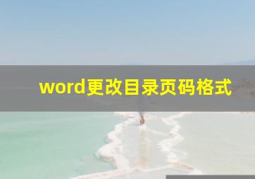 word更改目录页码格式