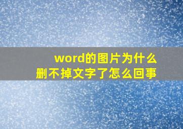 word的图片为什么删不掉文字了怎么回事