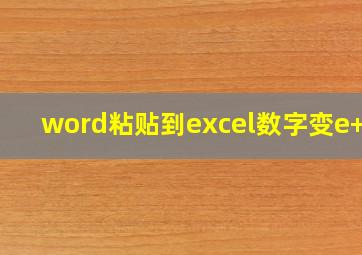 word粘贴到excel数字变e+10