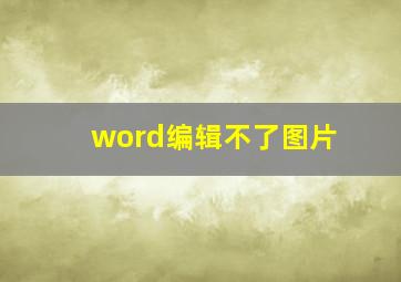 word编辑不了图片