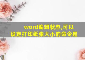 word编辑状态,可以设定打印纸张大小的命令是