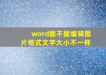 word能不能编辑图片格式文字大小不一样