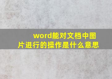 word能对文档中图片进行的操作是什么意思