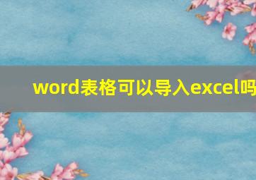 word表格可以导入excel吗