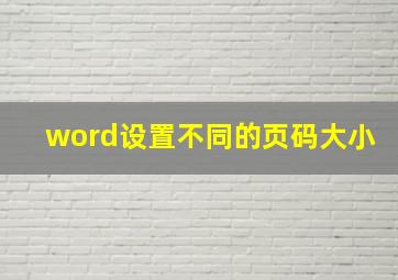 word设置不同的页码大小