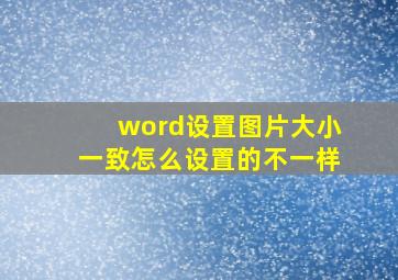 word设置图片大小一致怎么设置的不一样