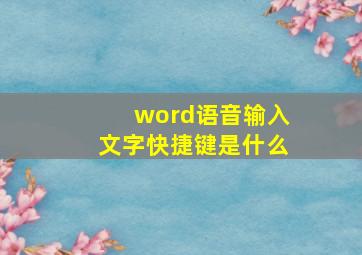 word语音输入文字快捷键是什么