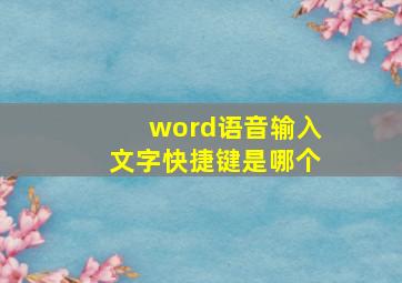 word语音输入文字快捷键是哪个