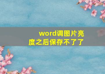 word调图片亮度之后保存不了了