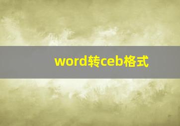 word转ceb格式