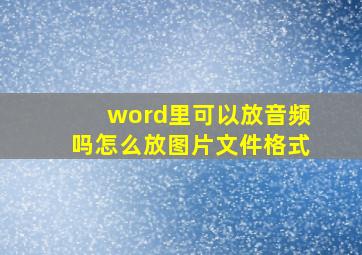 word里可以放音频吗怎么放图片文件格式